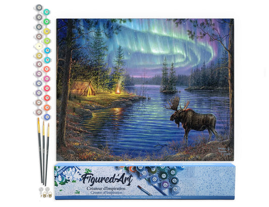 Paint by Numbers rolled - Moose and aurora borealis