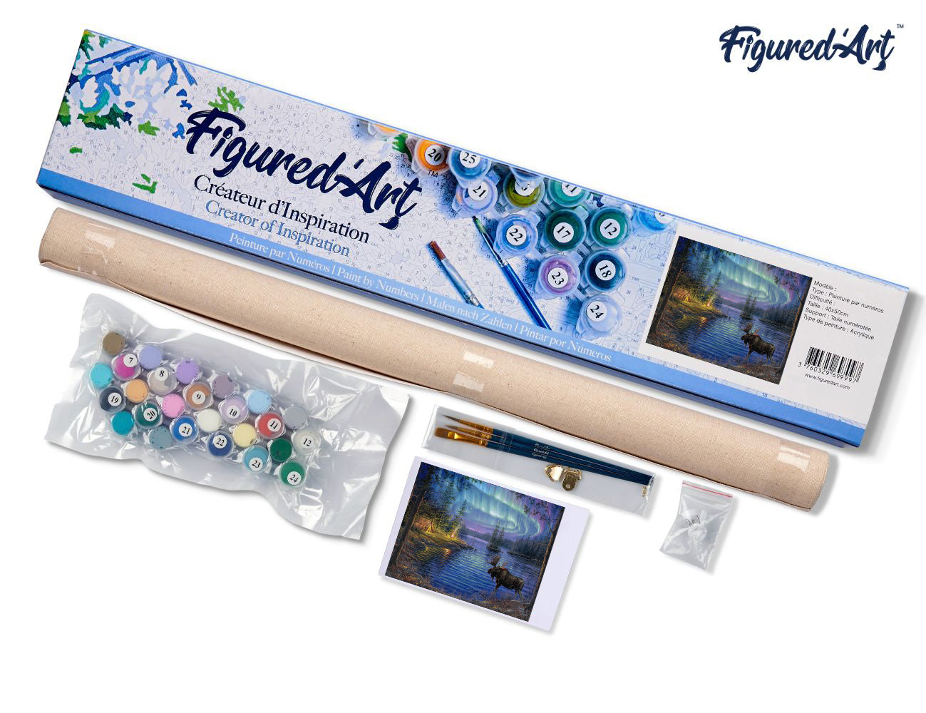 Paint by Numbers rolled - Moose and aurora borealis