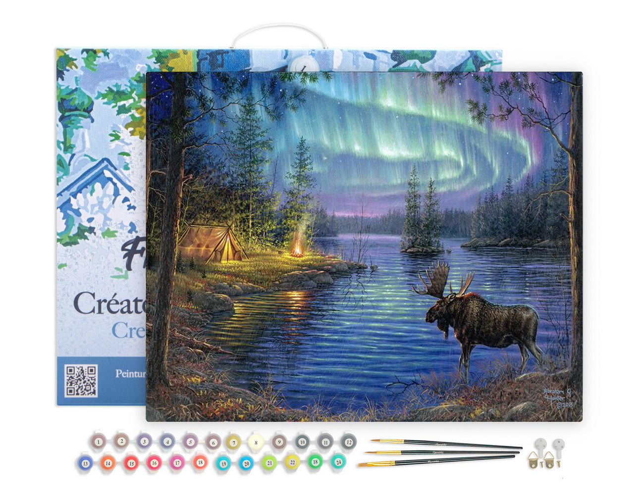 Paint by Numbers Framed - Moose and aurora borealis