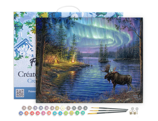 Paint by Numbers Framed - Moose and aurora borealis