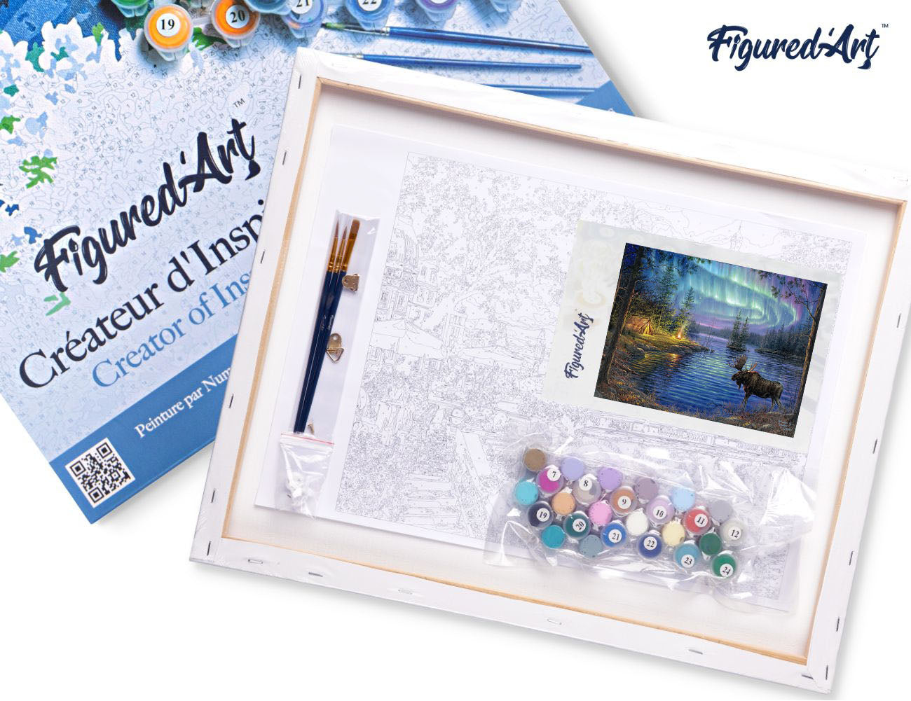 Paint by Numbers Framed - Moose and aurora borealis