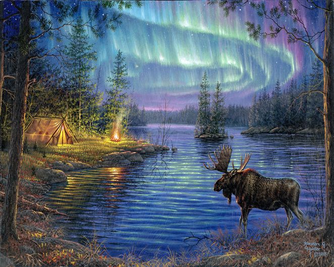 Paint by Numbers Framed - Moose and aurora borealis