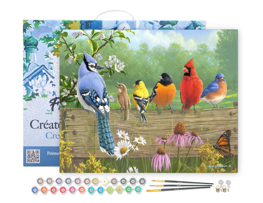 Paint by Numbers Framed - Birds On A Fence