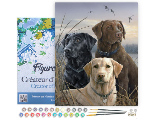Paint by numbers kit Paint by Numbers Framed - Labrador Trio Figured'Art