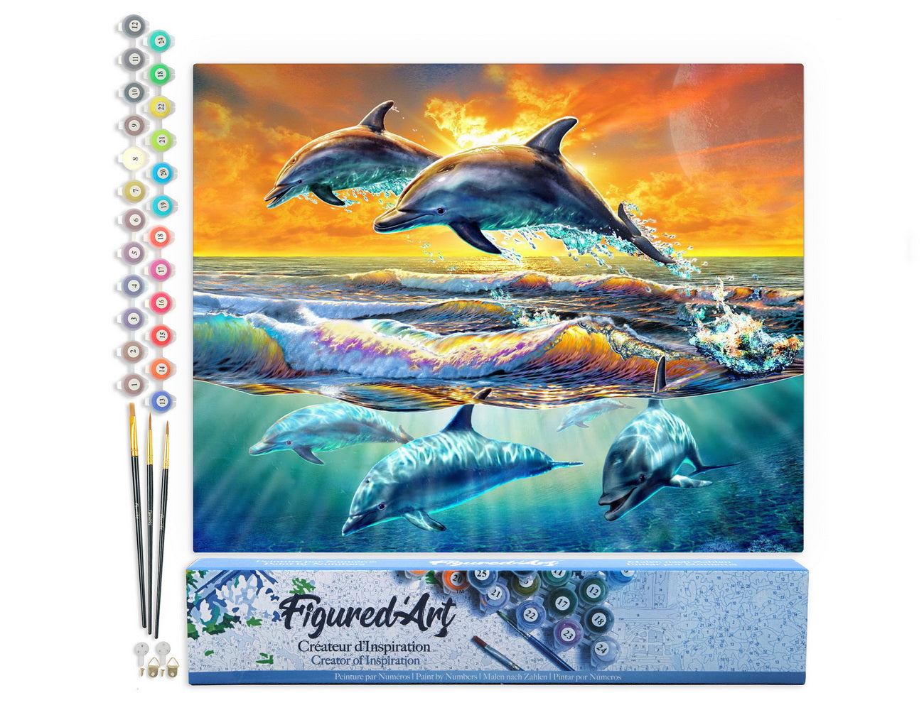 Paint by Numbers rolled - Dolphins