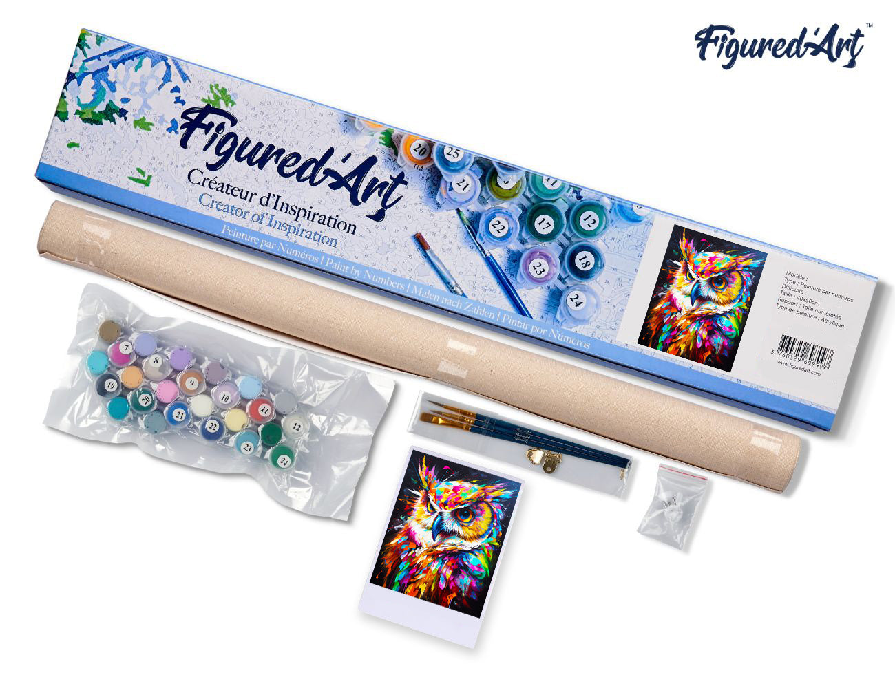 Paint by Numbers rolled - Colorful Abstract Owl