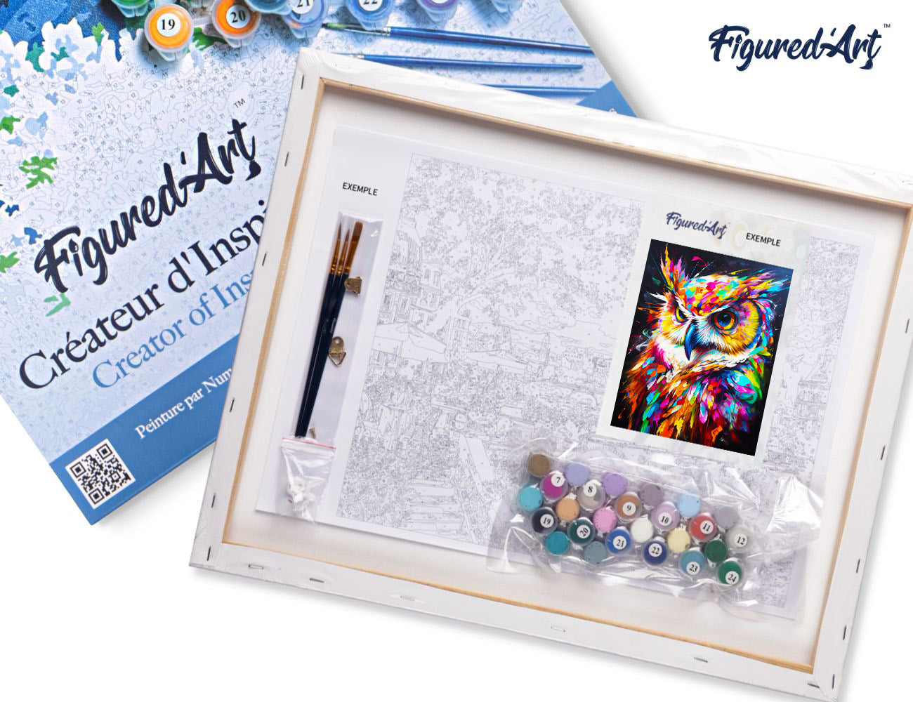 Paint by Numbers Framed - Colorful Abstract Owl