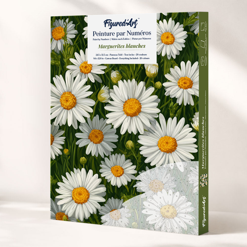 Paint by Numbers Gift Box - White Daisies FiguredArt