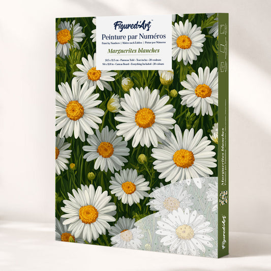 Paint by Numbers Gift Box - White Daisies FiguredArt