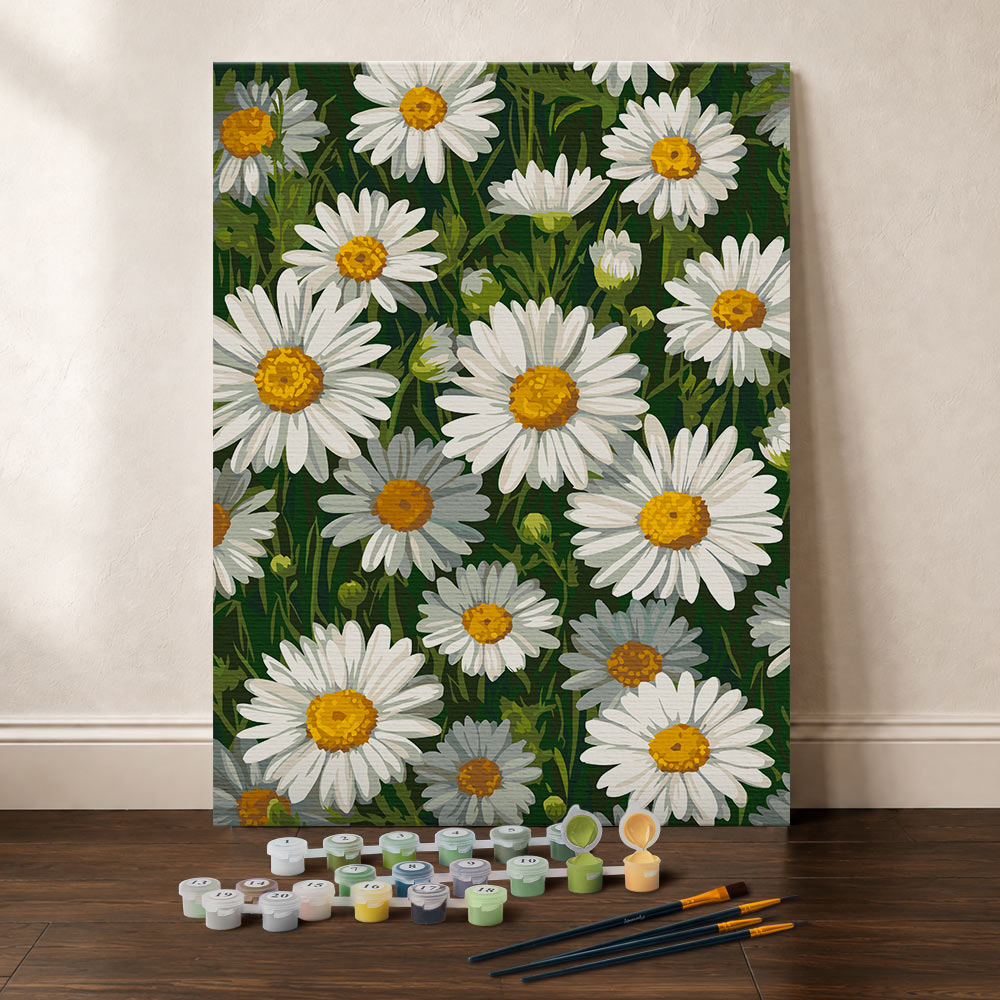 Paint by Numbers Gift Box - White Daisies