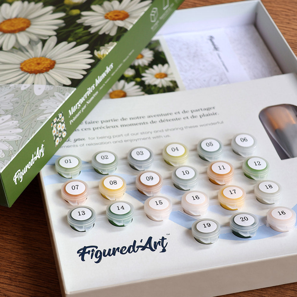 Paint by Numbers Gift Box - White Daisies