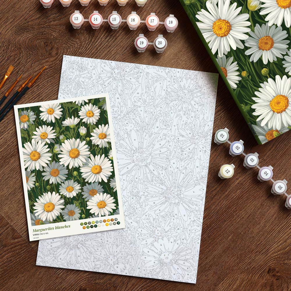 Paint by Numbers Gift Box - White Daisies