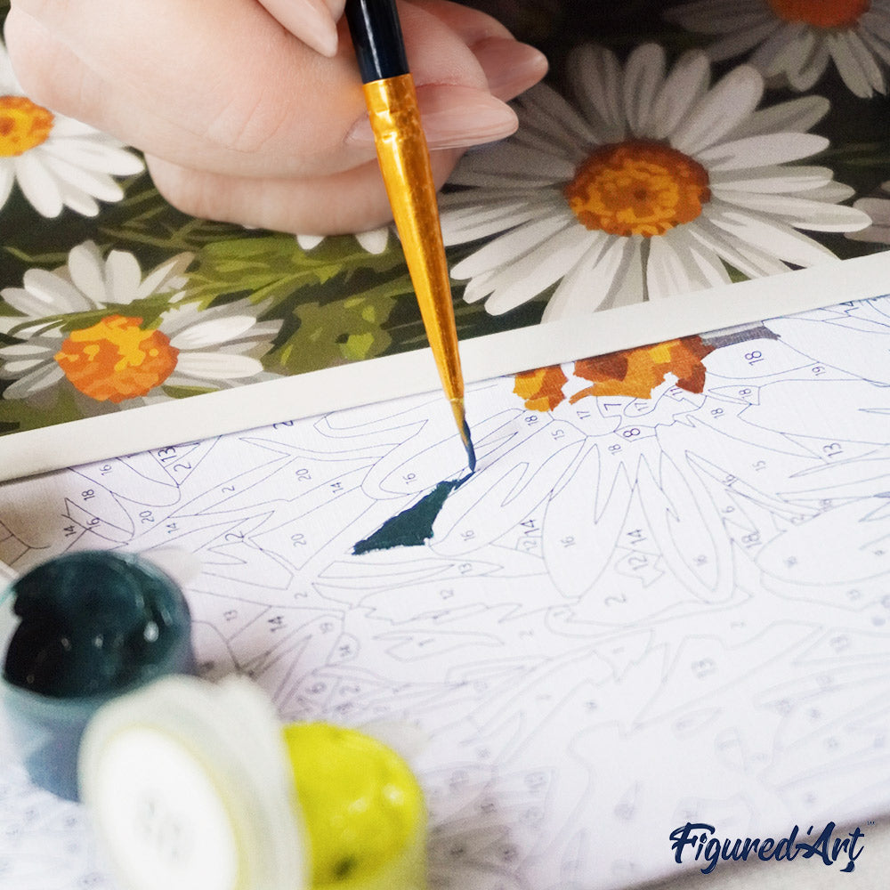 Paint by Numbers Gift Box - White Daisies