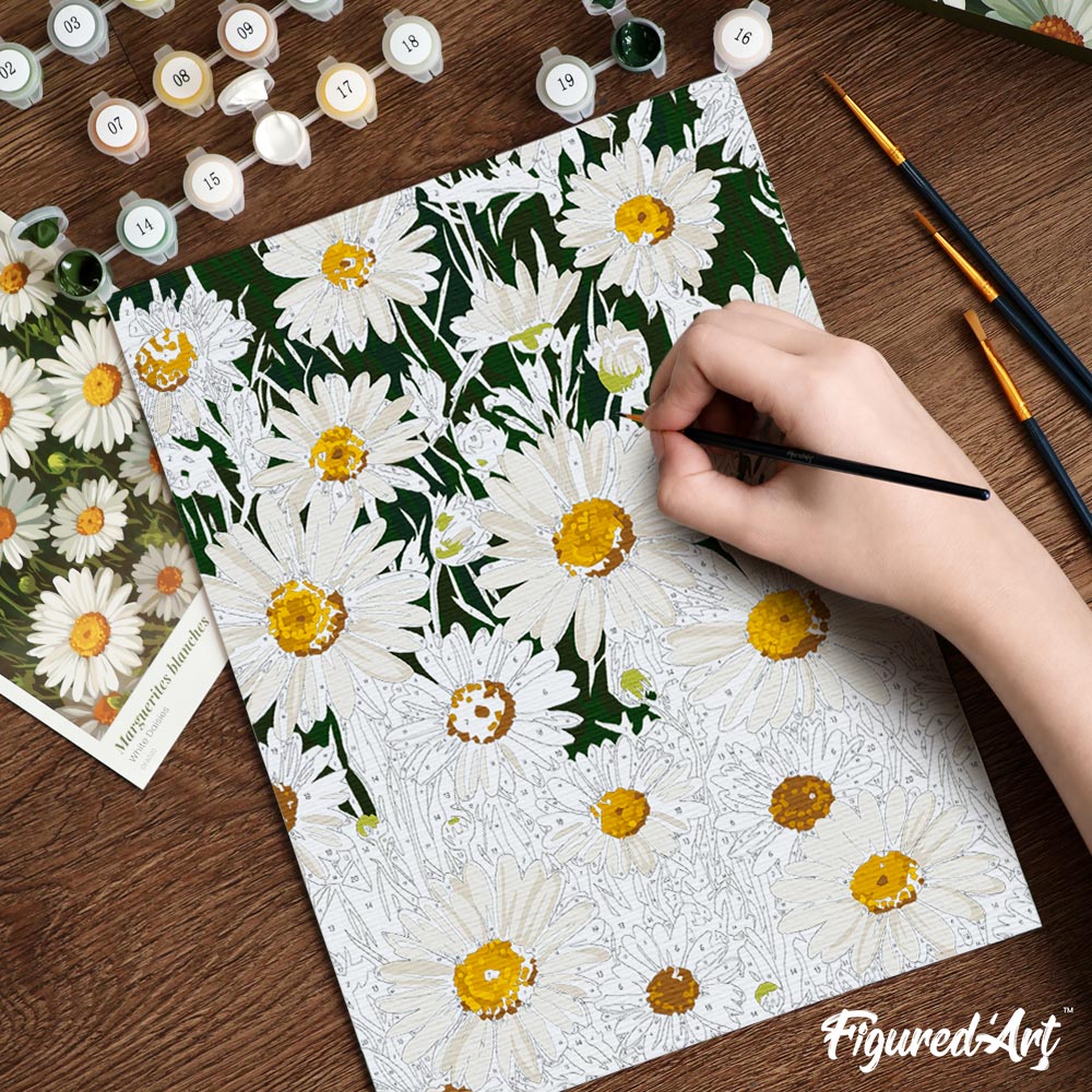 Paint by Numbers Gift Box - White Daisies