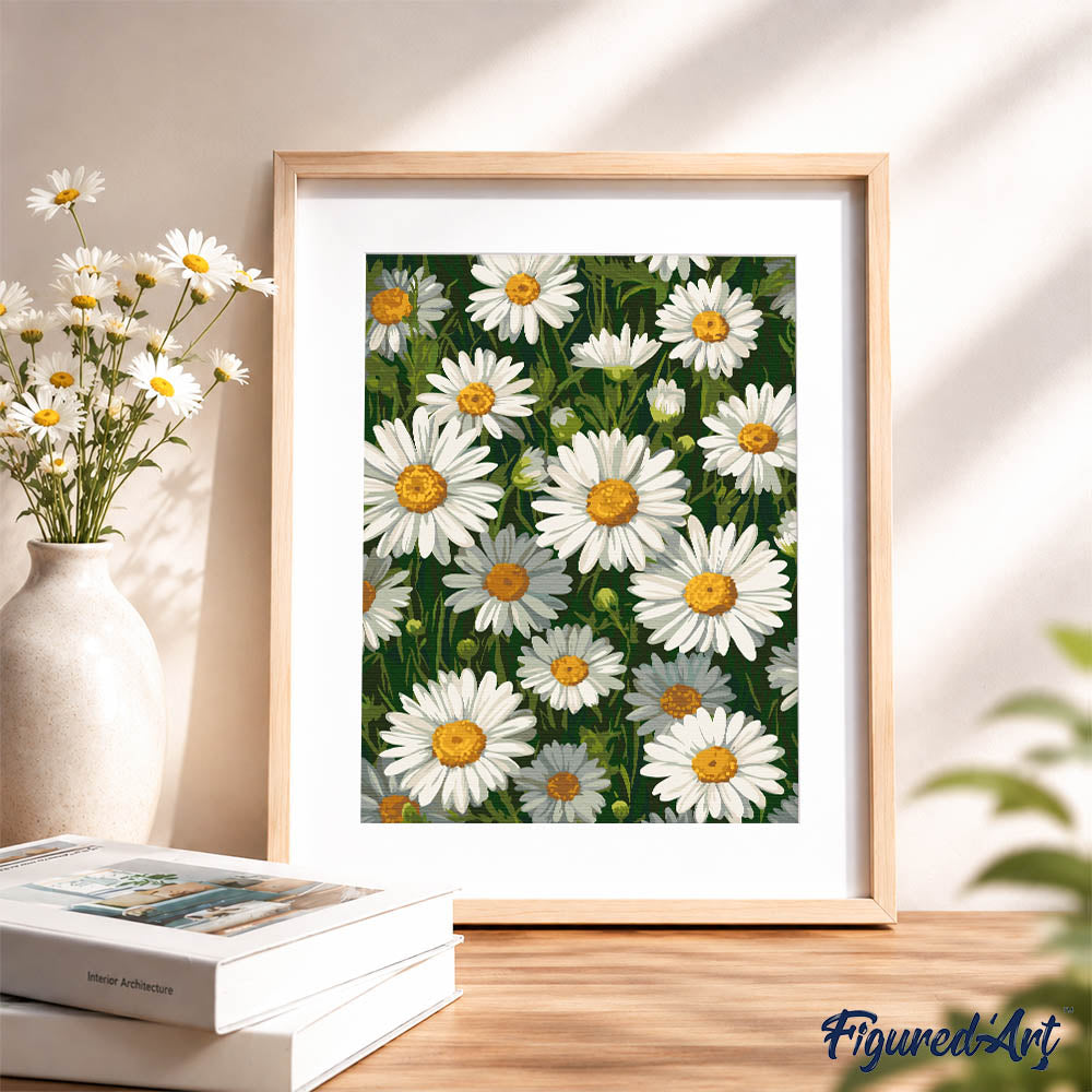 Paint by Numbers Gift Box - White Daisies