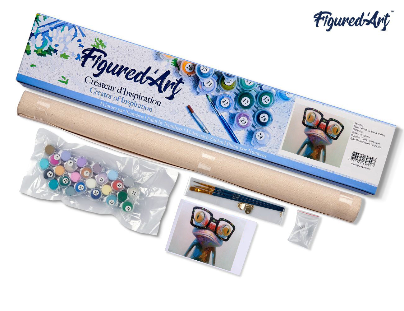 Paint by Numbers rolled - Frog and Eyewear