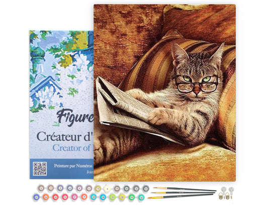 Paint by Numbers Framed - Don't mess with This Cat