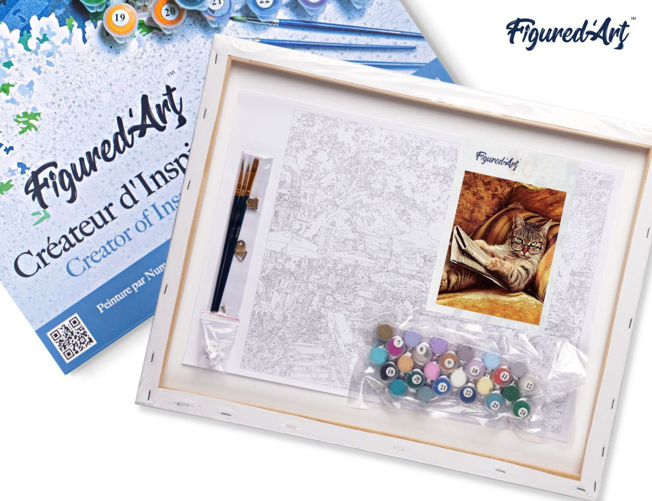 Paint by Numbers Framed - Don't mess with This Cat