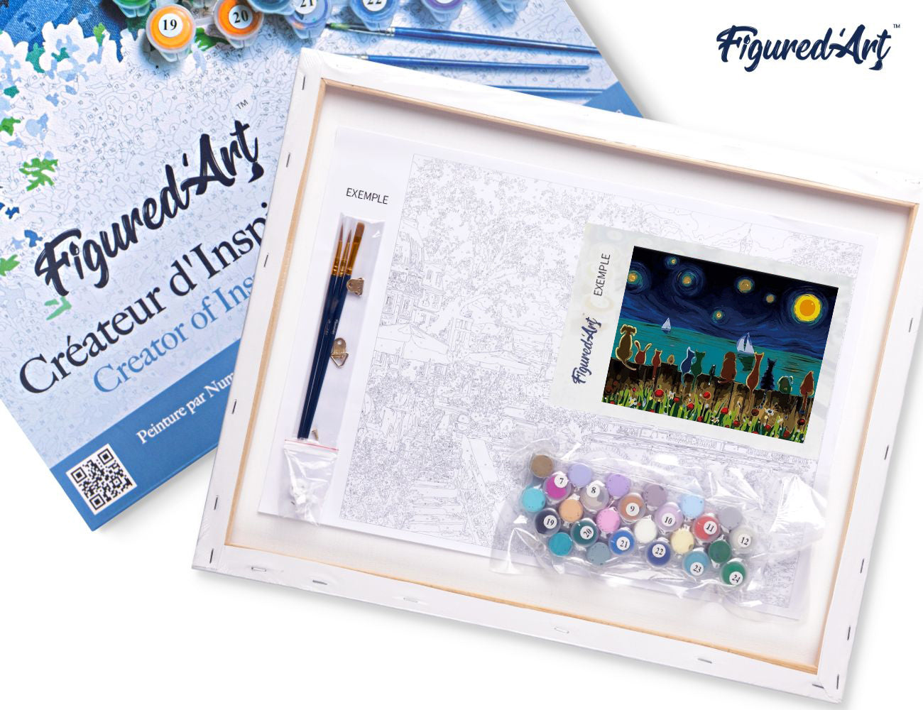 Paint by Numbers Framed - Starry Night with Animals