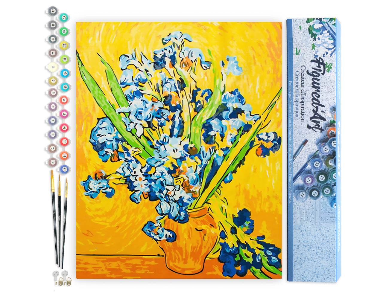Paint by Numbers rolled - Van Gogh Irises