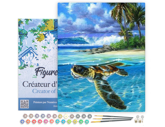 Paint by Numbers Framed - Relaxing Turtle
