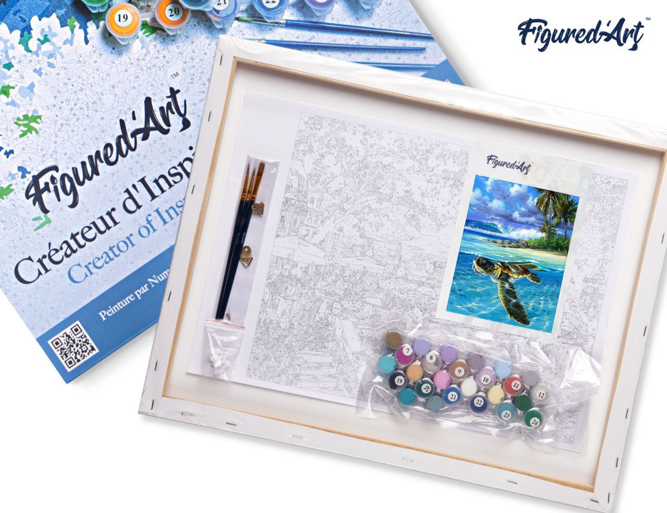 Paint by Numbers Framed - Relaxing Turtle