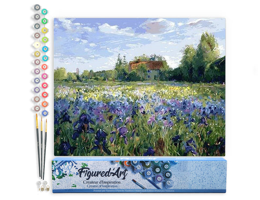 Paint by Numbers rolled - Countryside field and Blue Flowers