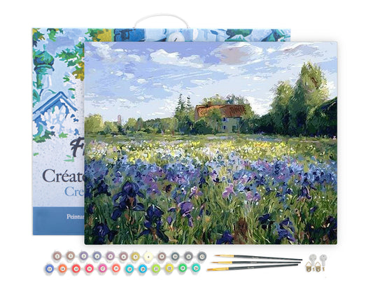 Paint by Numbers Framed - Countryside field and Blue Flowers