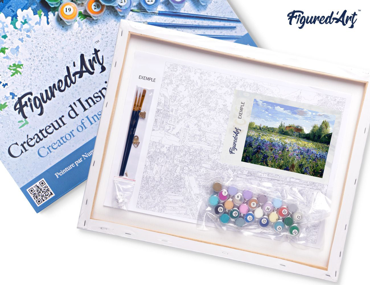 Paint by Numbers Framed - Countryside field and Blue Flowers