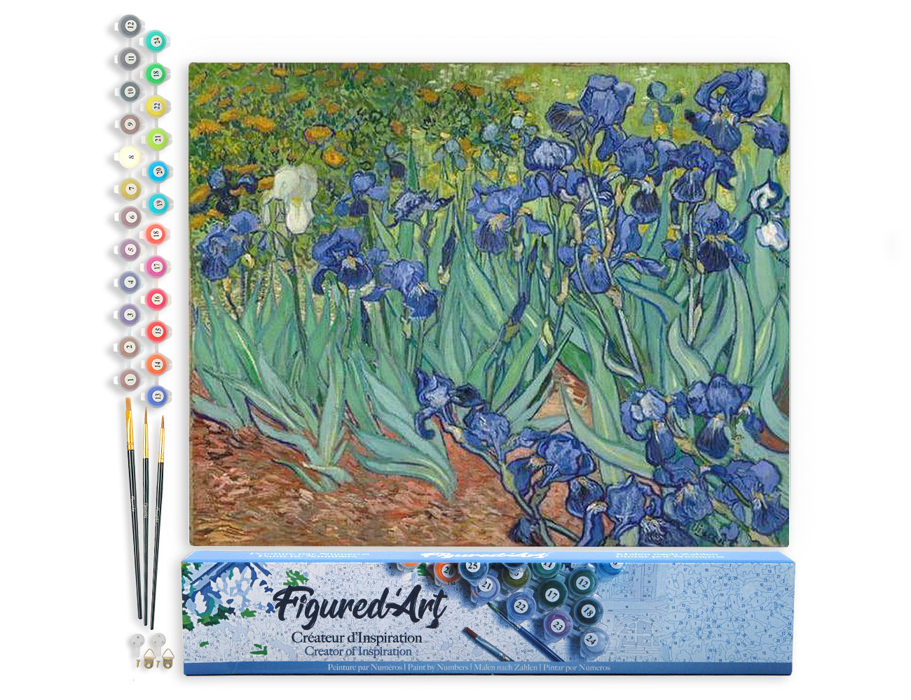 Paint by Numbers rolled - Van Gogh Iris