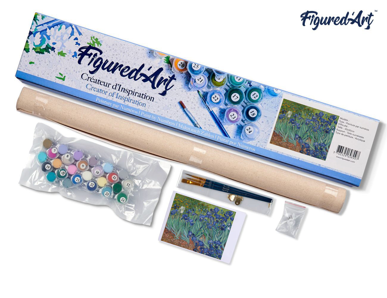 Paint by Numbers rolled - Van Gogh Iris