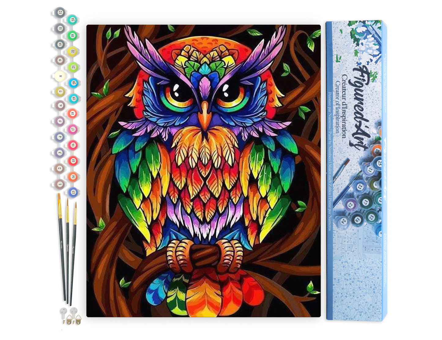 Paint by Numbers rolled - Colorful Owl