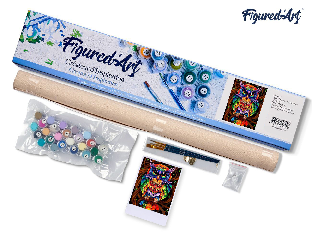 Paint by Numbers rolled - Colorful Owl