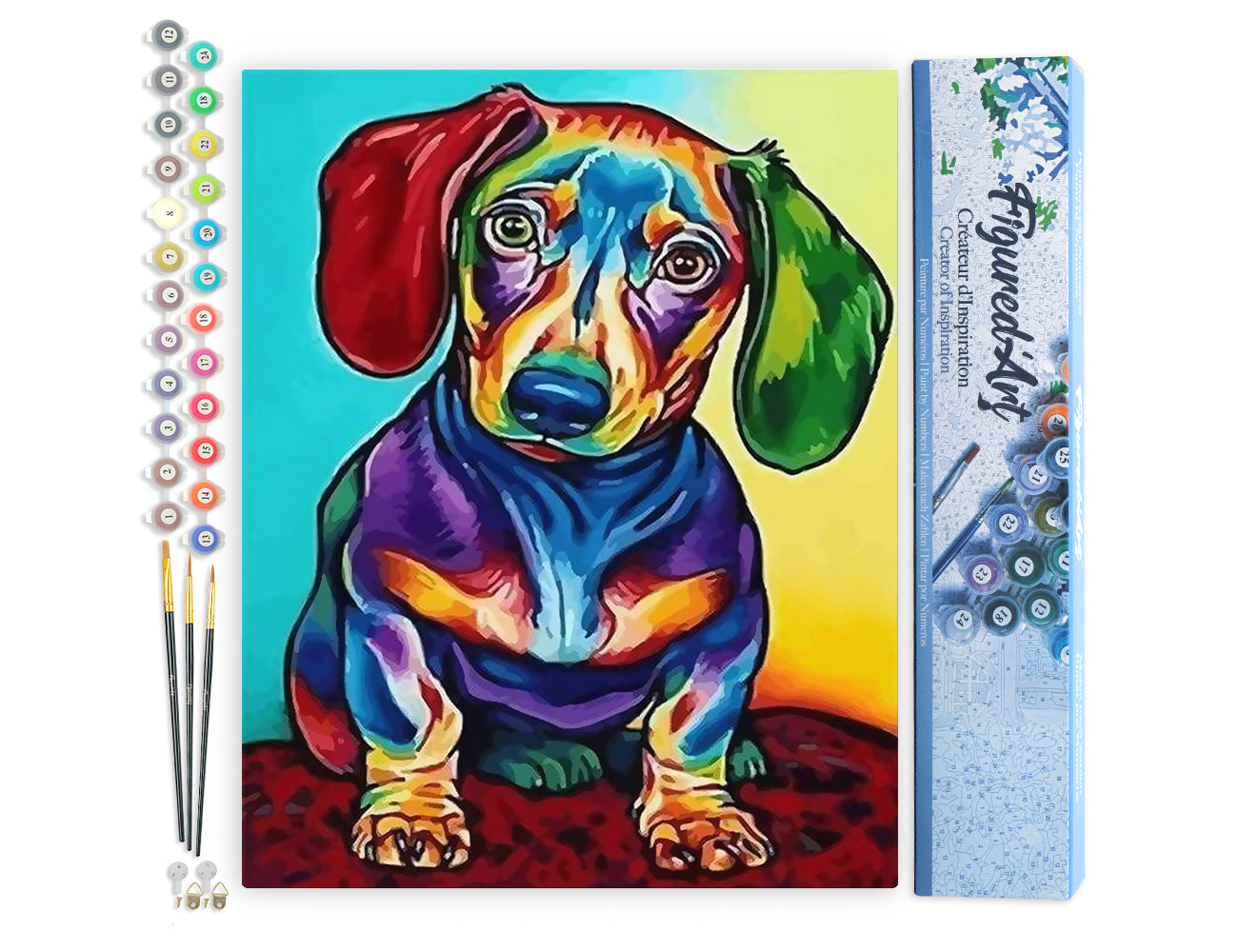 Paint by Numbers rolled - Dog Color Red and Green Ears