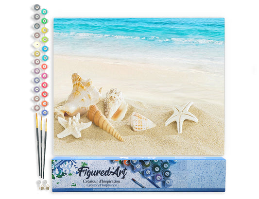 Paint by Numbers rolled - Shells on the Seaside