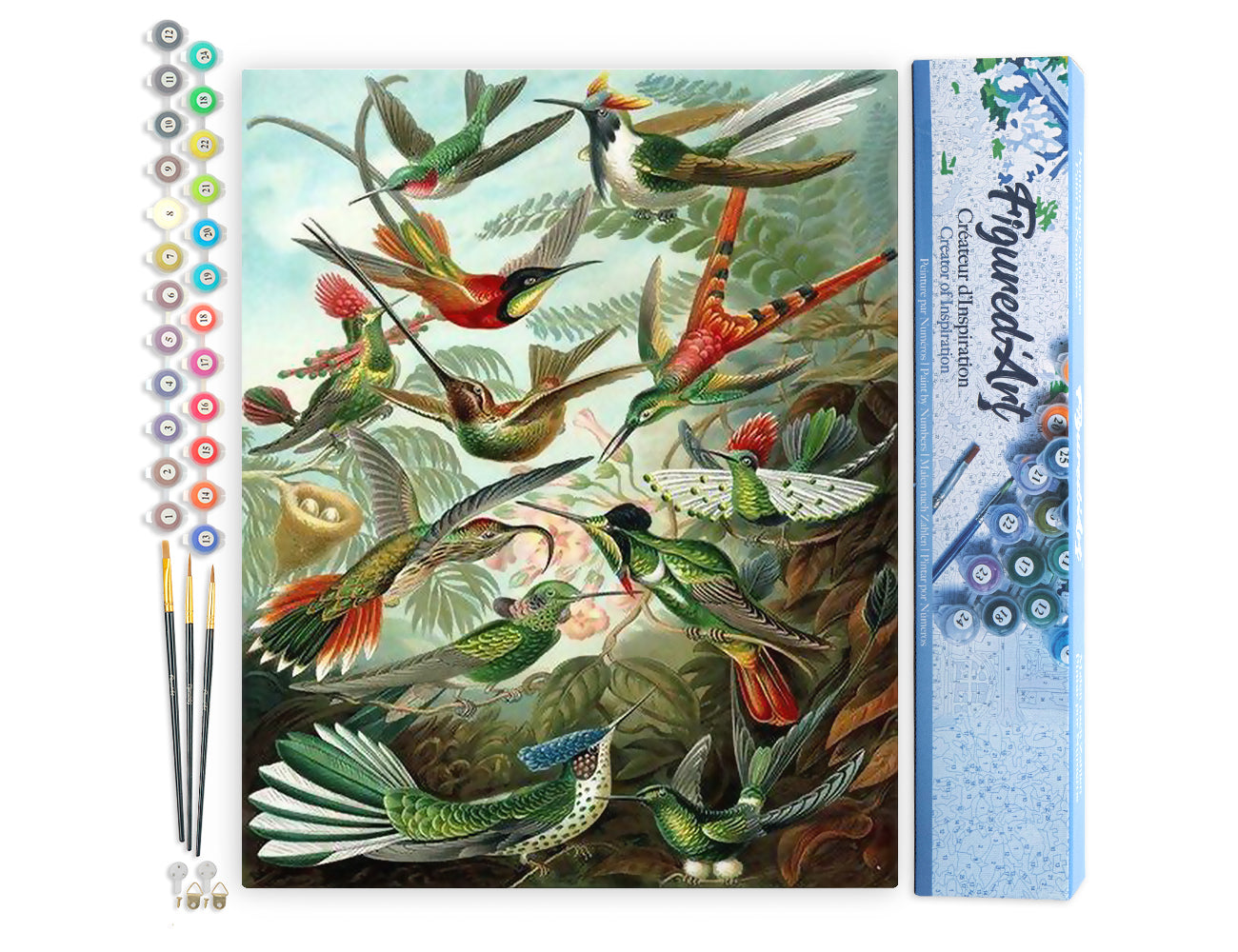 Paint by Numbers rolled - All the Birds