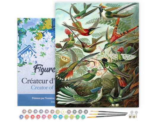 Paint by Numbers Framed - All the Birds