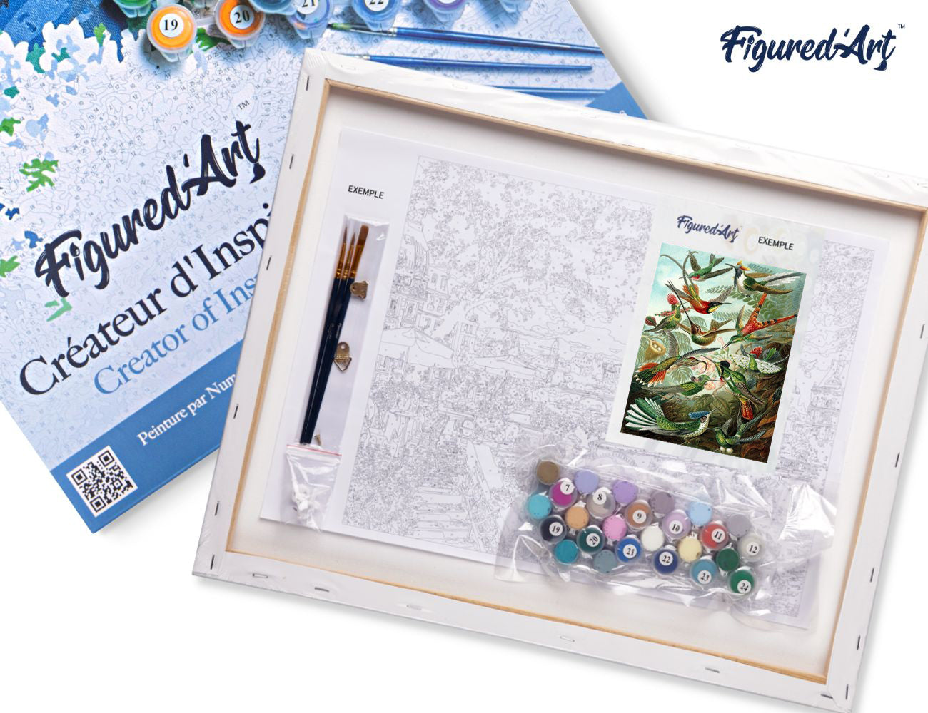 Paint by Numbers Framed - All the Birds