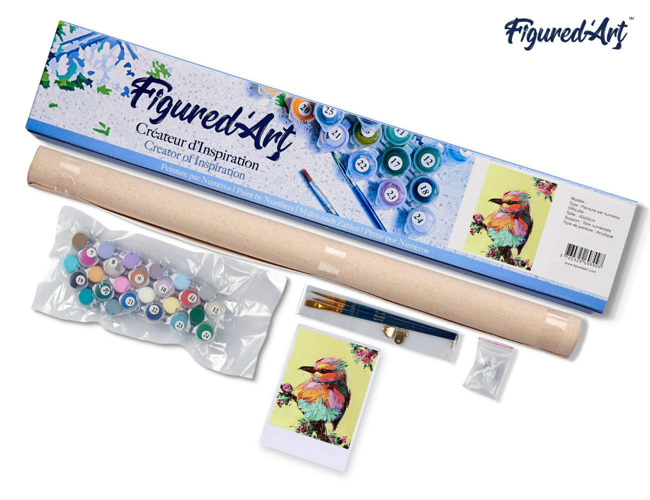 Paint by Numbers rolled - Little Bird
