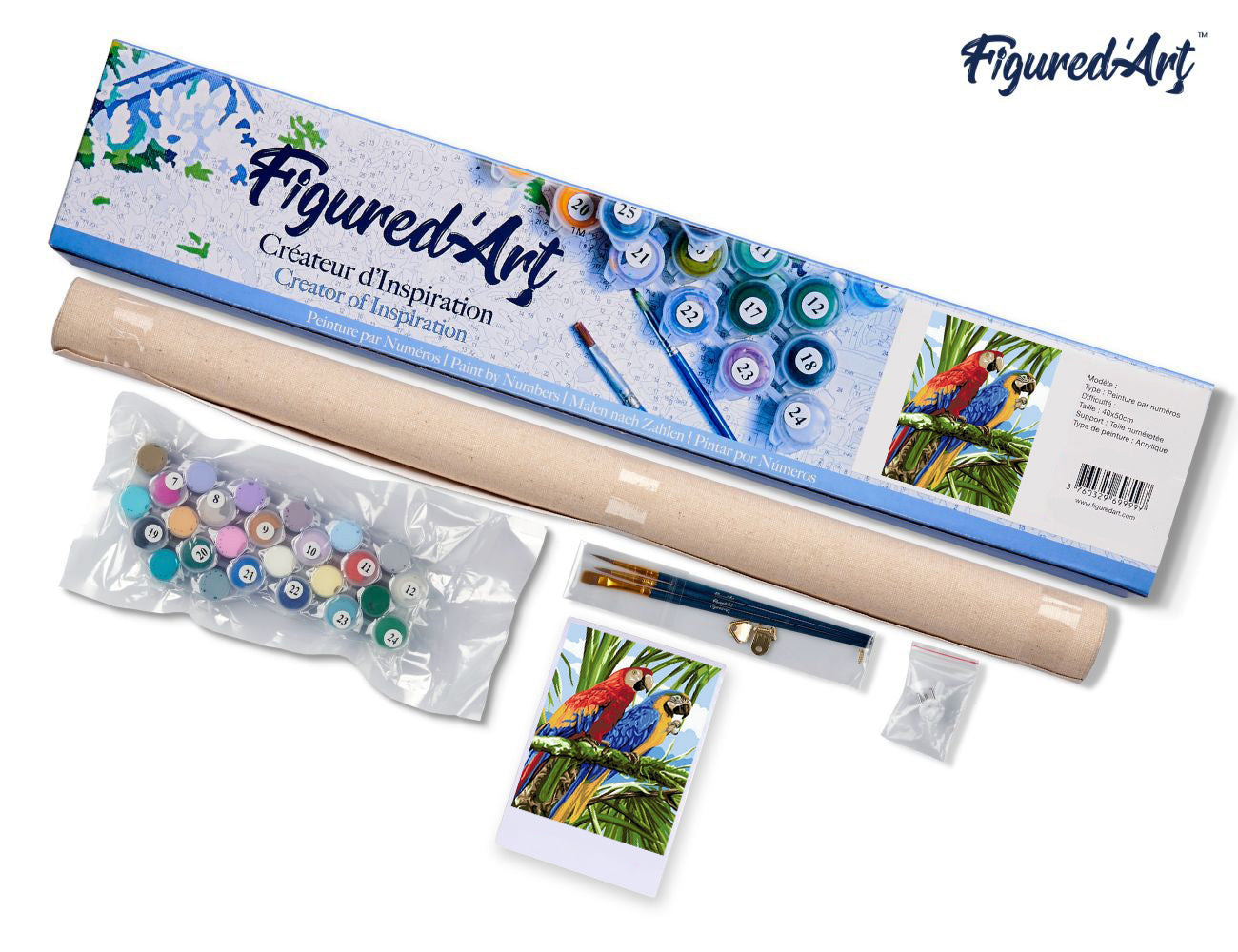 Paint by Numbers rolled - Parrots in the Tropics