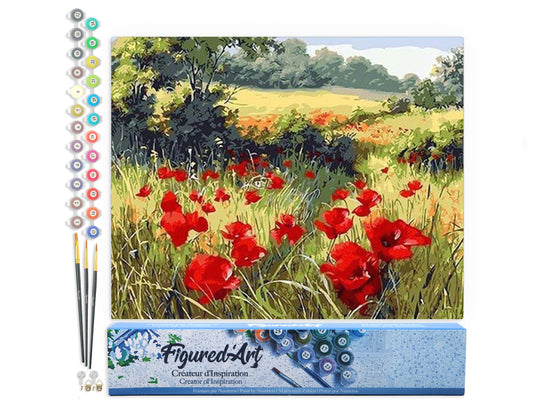 Paint by Numbers rolled - Field of Poppies in the countryside