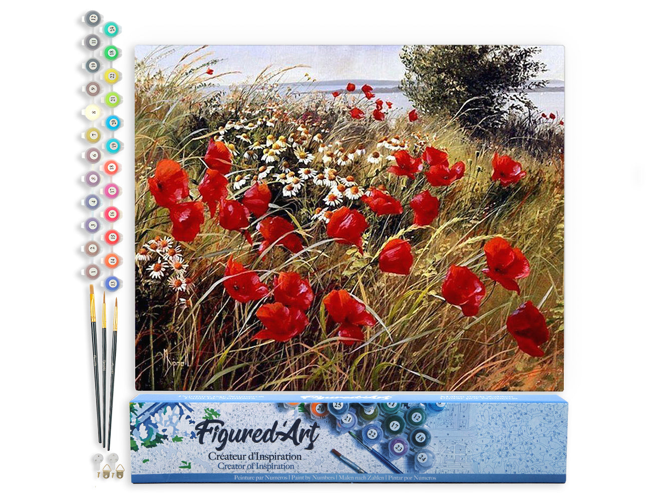 Paint by Numbers rolled - Wild flowers in the countryside