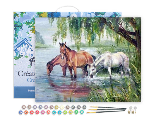 Paint by Numbers Framed - Three Horses near the lake