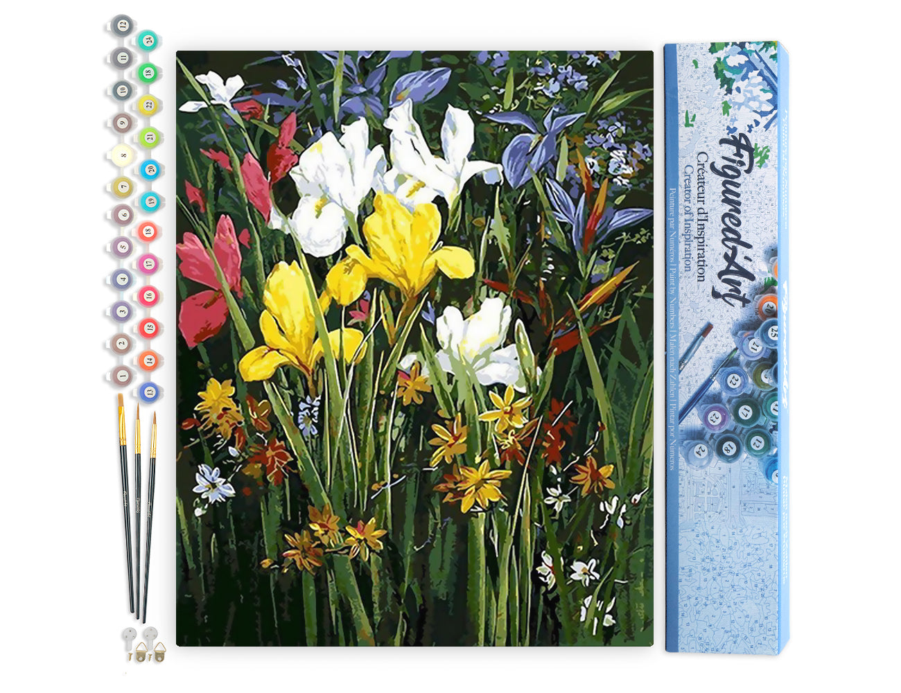 Paint by Numbers rolled - Colorful field of Flowers