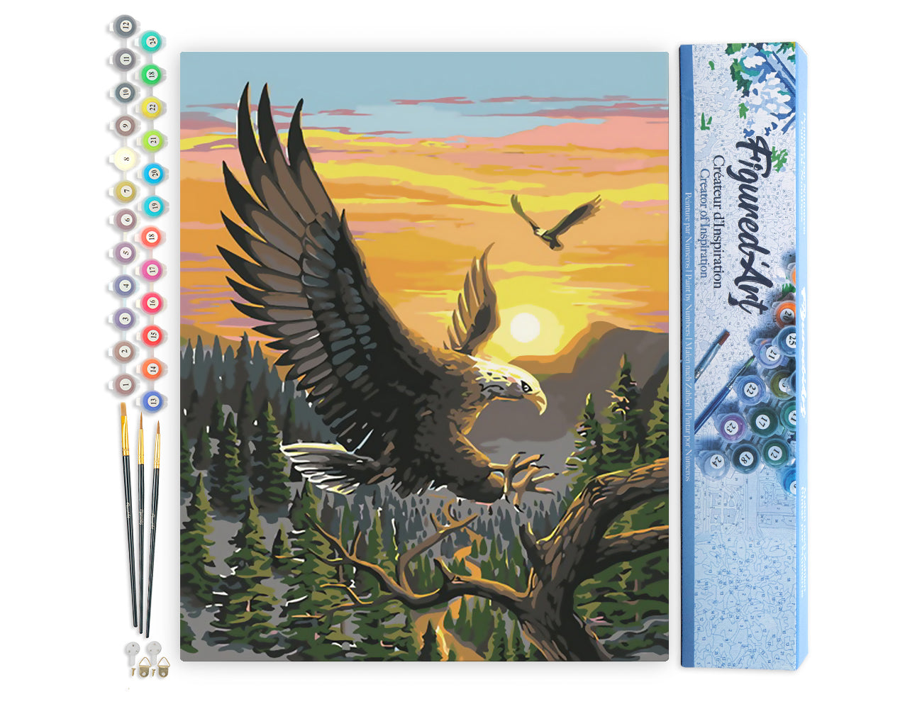 Paint by Numbers rolled - Eagle at Sunrise