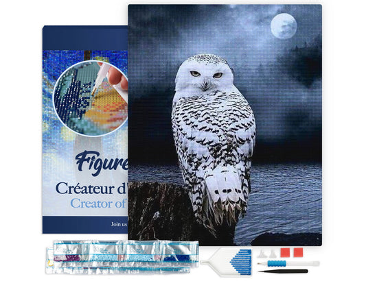Diamond Painting Framed - White Owl