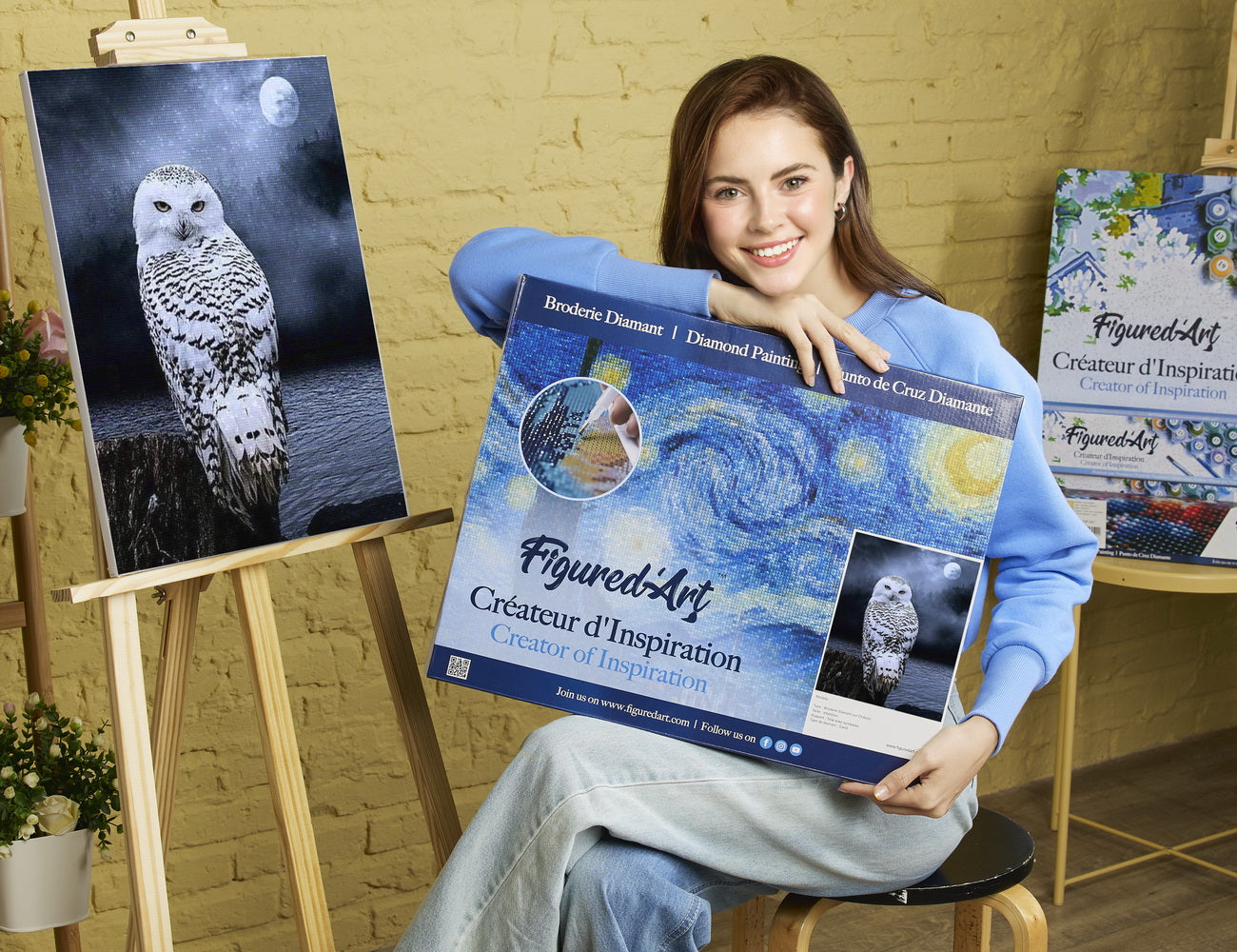 Diamond Painting Framed - White Owl