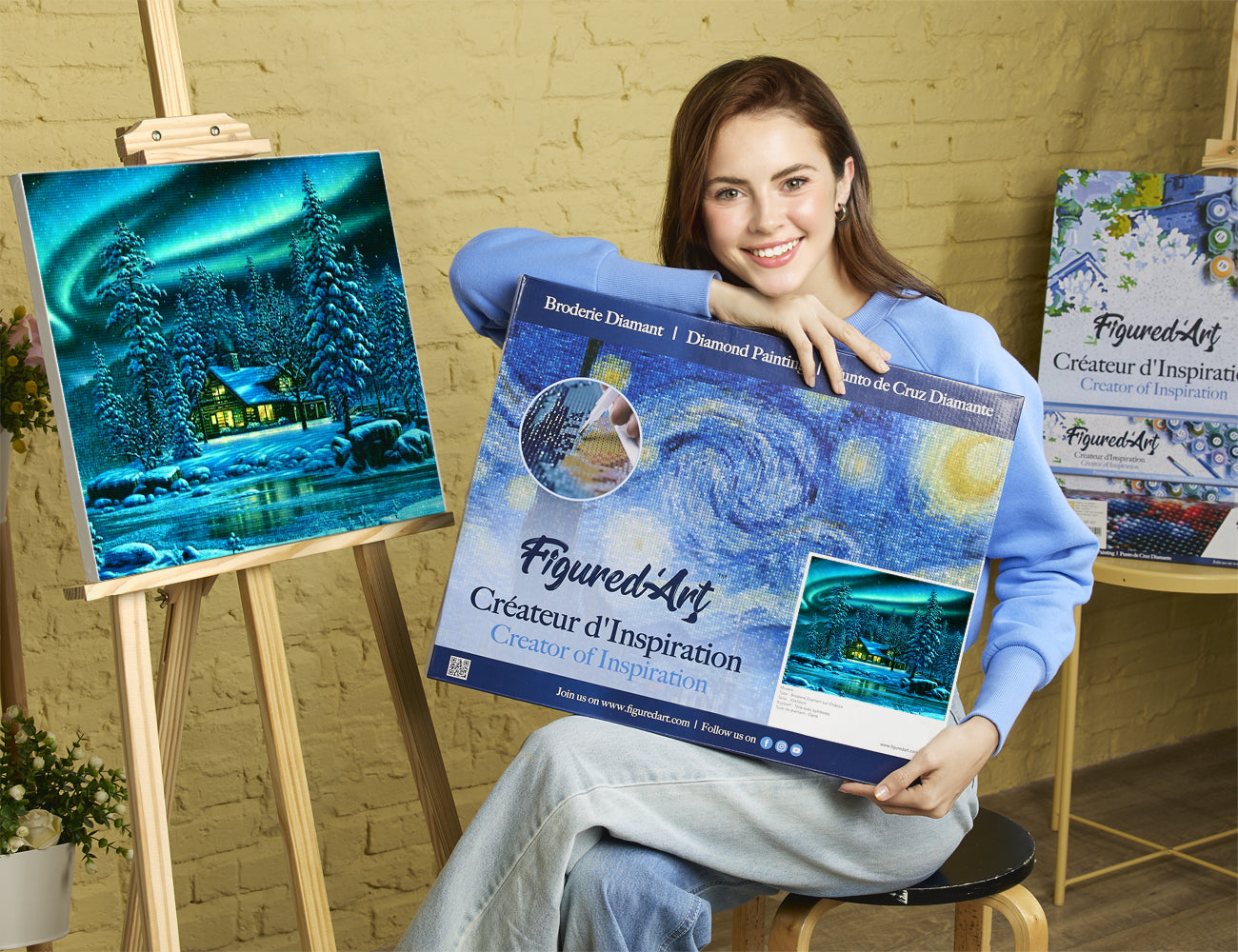 Diamond Painting Framed - Polar Northern Lights
