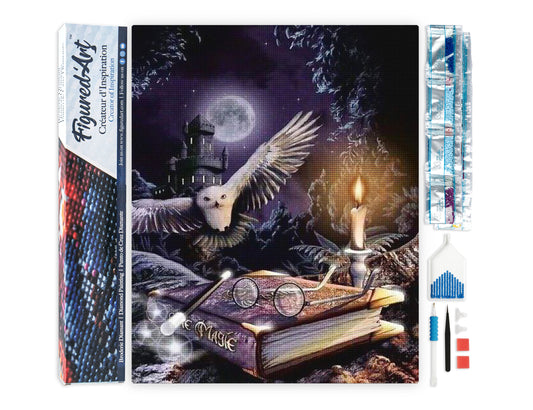 Diamond Painting - Magic Owl