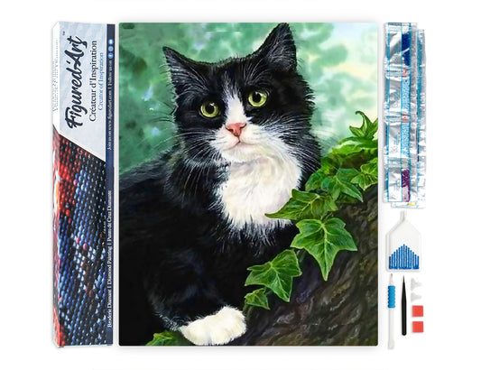 Diamond Painting - Black and white Cat